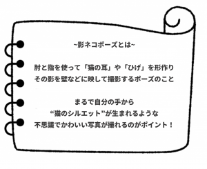 猫影ポーズ